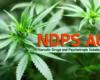 Your Legal Rights in NDPS Offenses: What You Need to Know
