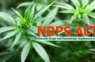 Your Legal Rights in NDPS Offenses: What You Need to Know