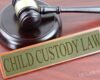 "In the Best Interest: Navigating the Journey of Child Custody"
