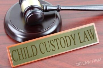 “In the Best Interest: Navigating the Journey of Child Custody”