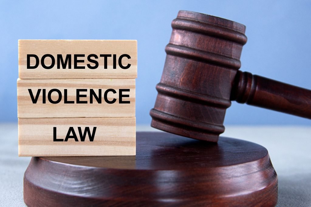 “Shadows at Home: Exposing the Hidden Crisis of Domestic Violence”