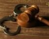 Legal Expert for Bail Rejection Appeal at the High Court in India