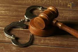 Legal Expert for Bail Rejection Appeal at the High Court in India