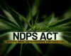 NDPS Uncovered: Rights, Regulations & Legal Remedies