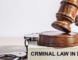 Criminal Law in India Explained by Legal Experts: A Complete 2026 Guide